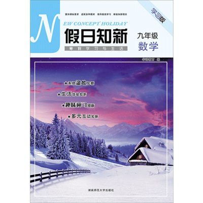 假日知新 寒假学习与生活 九年级数学 湘教版